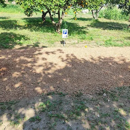 Tatil Evi Sa Domu De Pardinu *